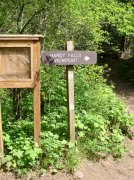 4.30.06 Hamilton Mountain 016 